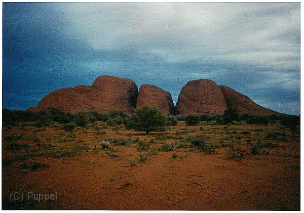 Australien 1998 D1320_s.jpg